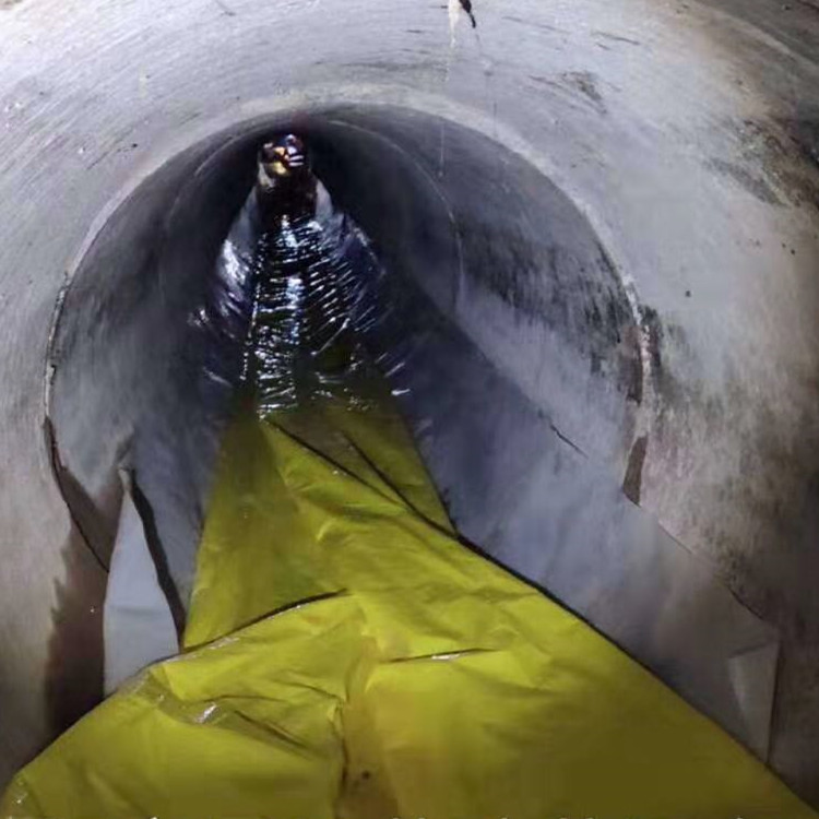 东阁镇管道光固化修复