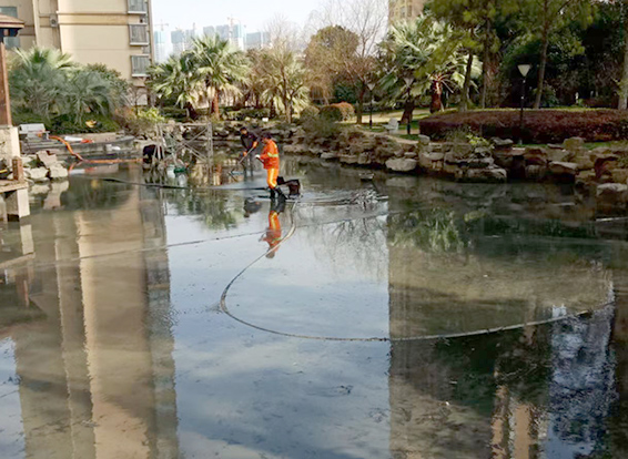 东阁镇景观池淤泥清理